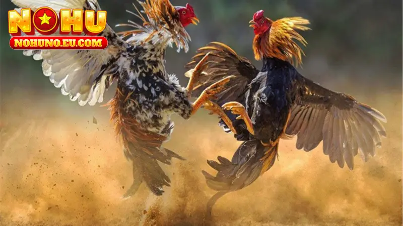 Đặt cược dự đoán theo kèo Wala