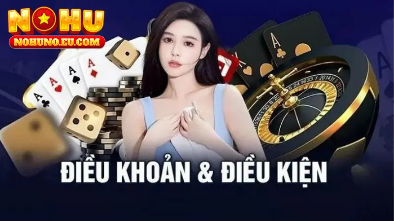 Giới thiệu sơ lược thông tin điều khoản và điều kiện tại NOHU