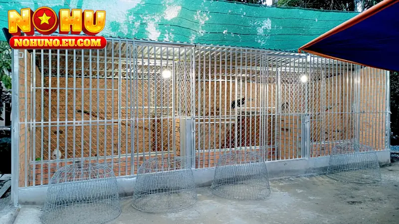 Trại gà Toàn Cao Lãnh - Cao Lãnh